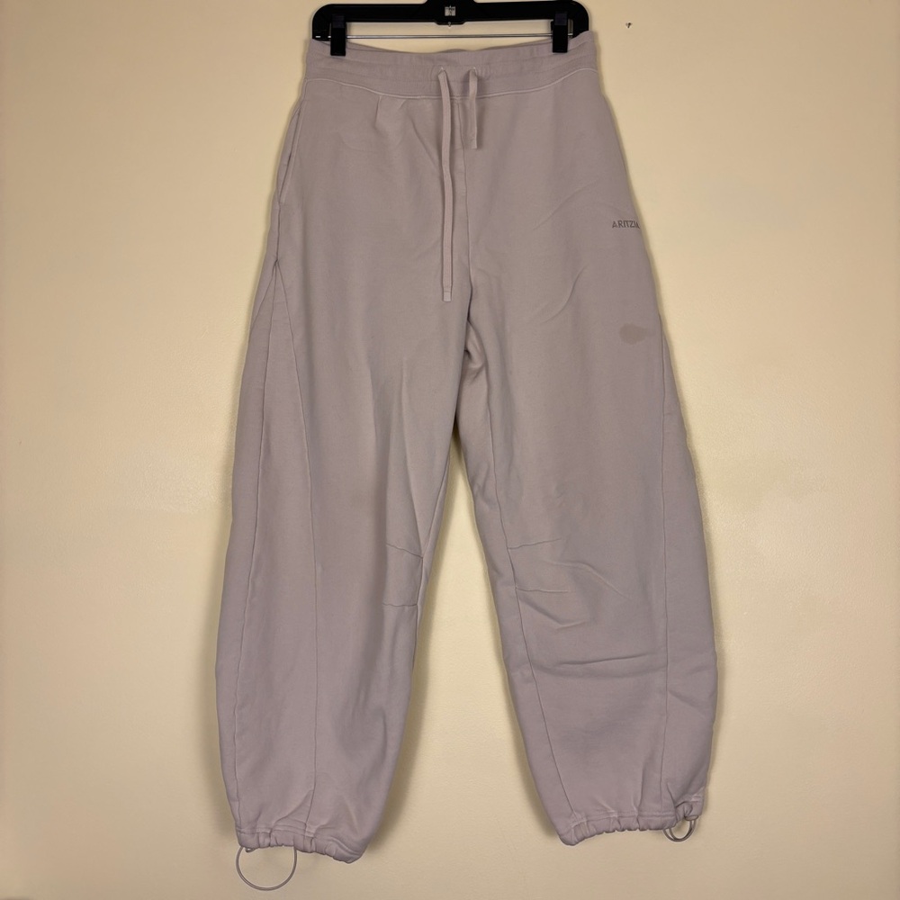 Aritzia Taupe Wide-Leg Track Pants - Picture 3 of 13